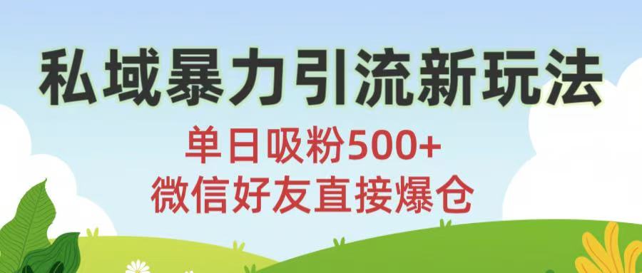 私域暴力引流新玩法!单日吸粉500+，微信好友直接爆仓-云起副业网