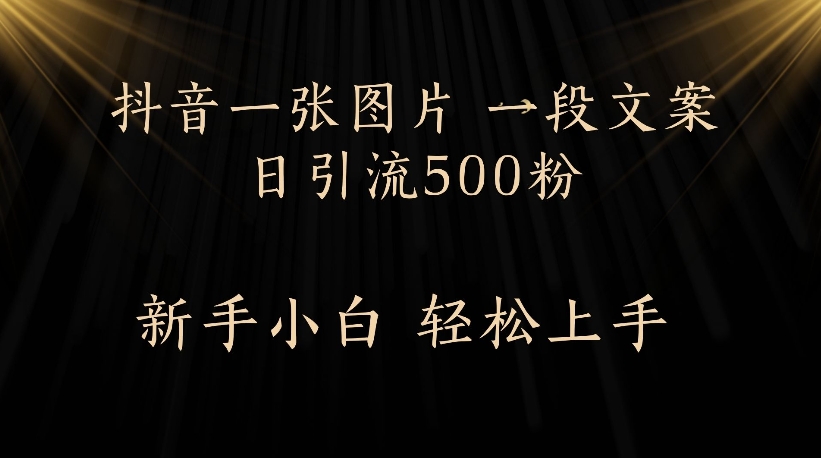 抖音一张图片，一段文案日引流500粉，新手小白 轻松上手-云起副业网