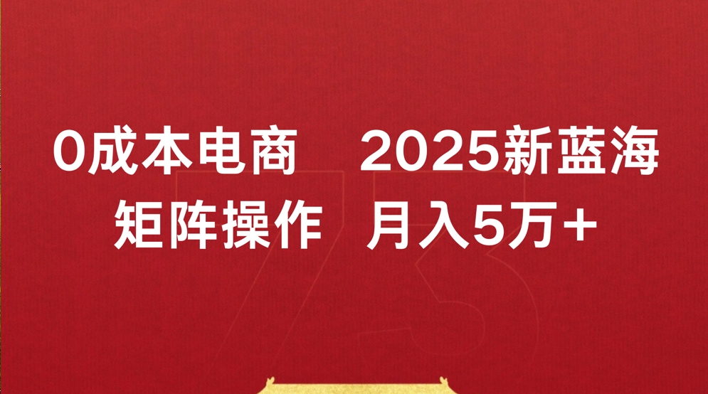 0成本电商2025新蓝海矩阵操作 月入5万+-云起副业网