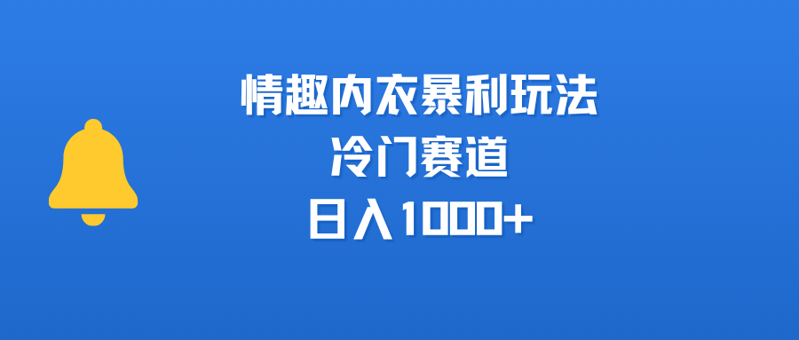 情趣内衣暴利玩法，冷门赛道，日入1000+-云起副业网