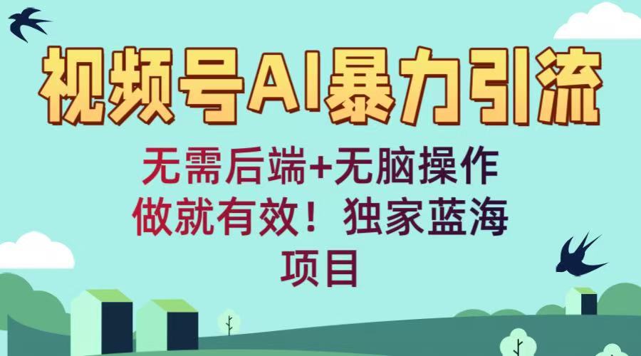 视频号AI暴力引流：无需后端+无脑操作，做就有效！独家蓝海项目-云起副业网