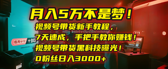 月入5万不是梦！视频号带货新手教程，7天速成，手把手教你赚钱！视频号带货黑科技曝光！0粉丝日入3000+-云起副业网