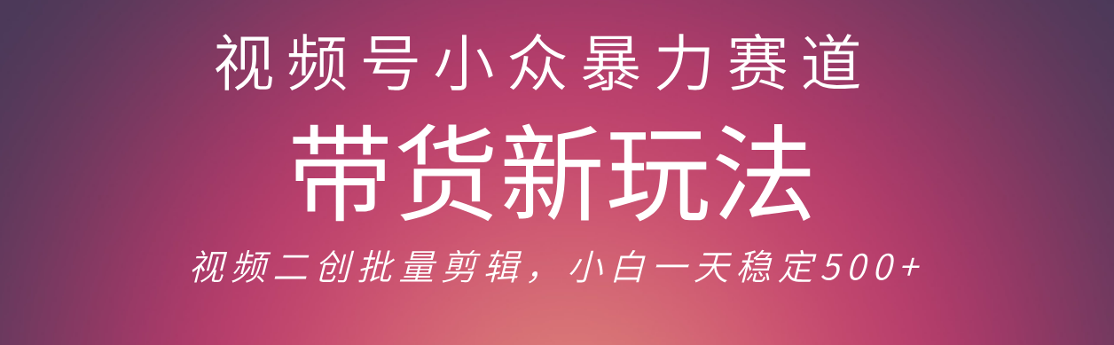 视频号小众暴力赛道,最新带货玩法 小白也能轻松日入500+ 保姆及教程-云起副业网
