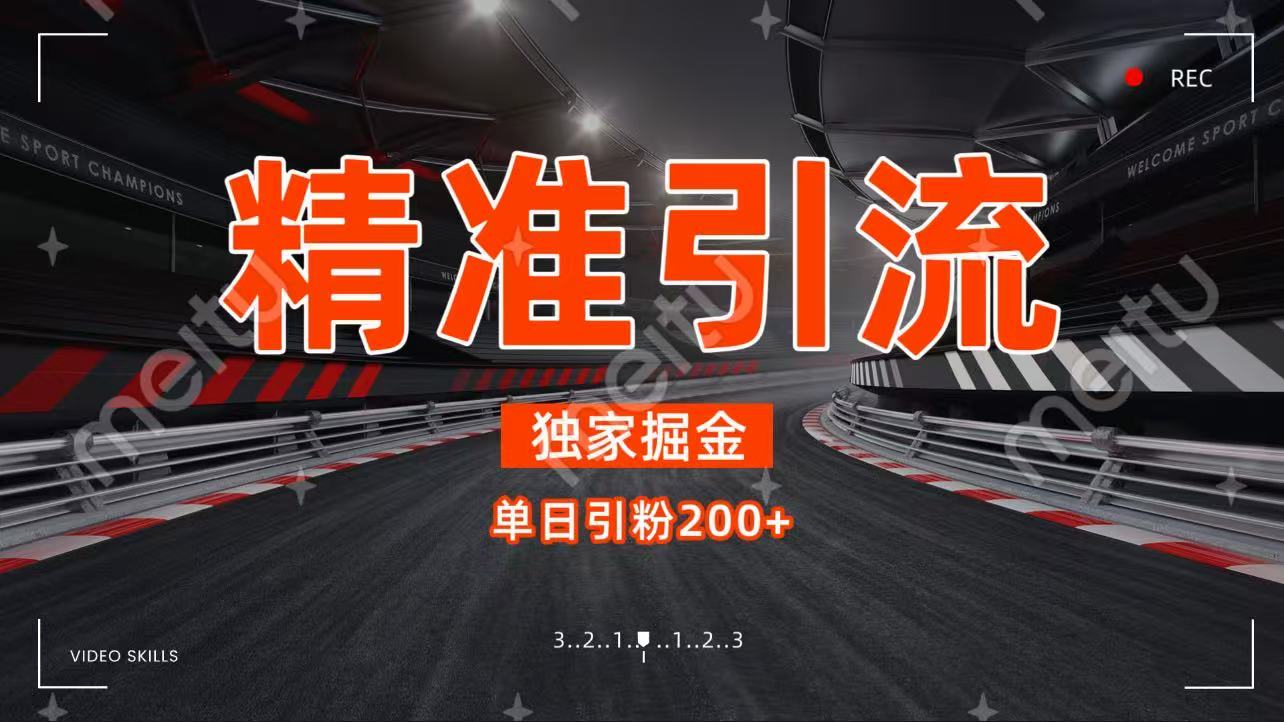 独家野路子精准引流 每日200+-云起副业网