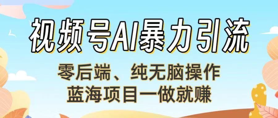视频号AI暴力引流：零后端、纯无脑操作，蓝海项目一做就赚！【下面那个链接失效了】-云起副业网