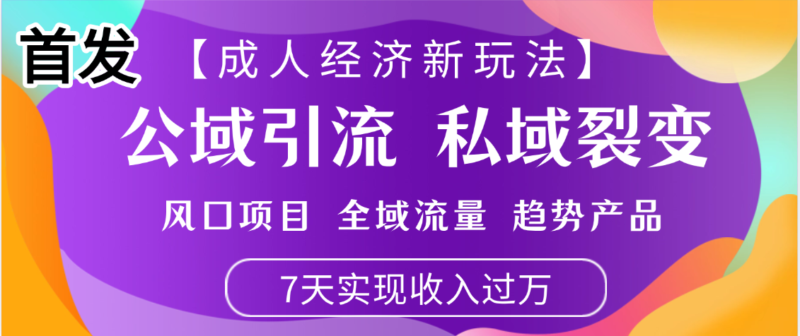 首发：【成人经济新玩法】市面独家玩法，风口项目、全域流量、趋势产品，7天实现月入过万-云起副业网