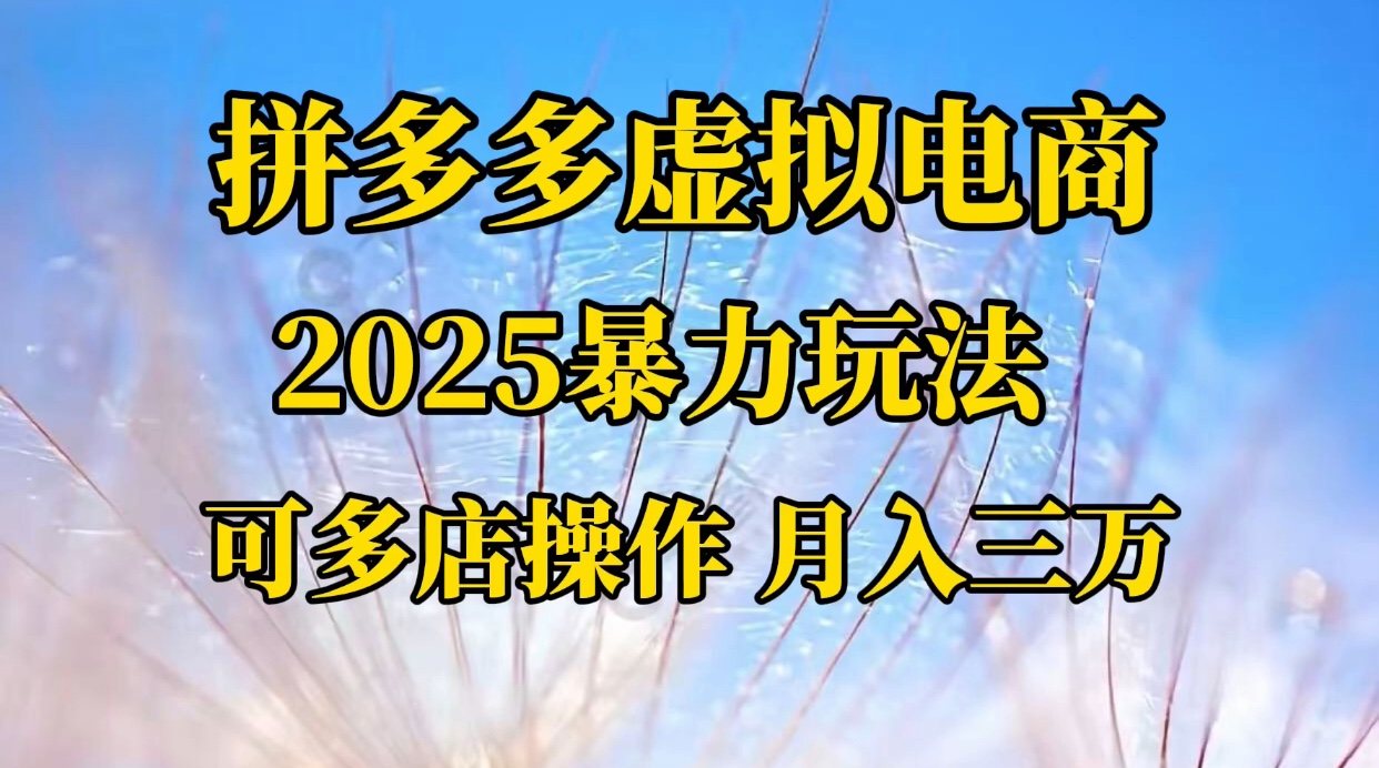 拼多多虚拟电商，不囤货不垫资的虚拟电商-云起副业网