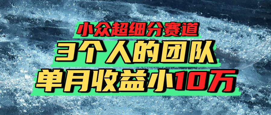 小众超细分赛道，一年百万利润的盘子！-云起副业网