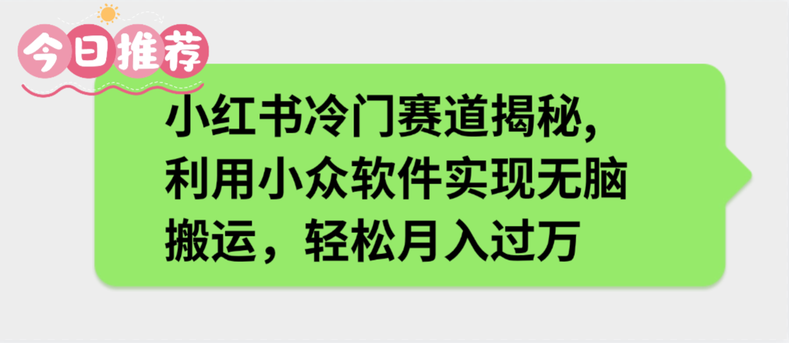 小红书冷门赛道揭秘,利用小众软件实现无脑搬运，轻松月入过万-云起副业网